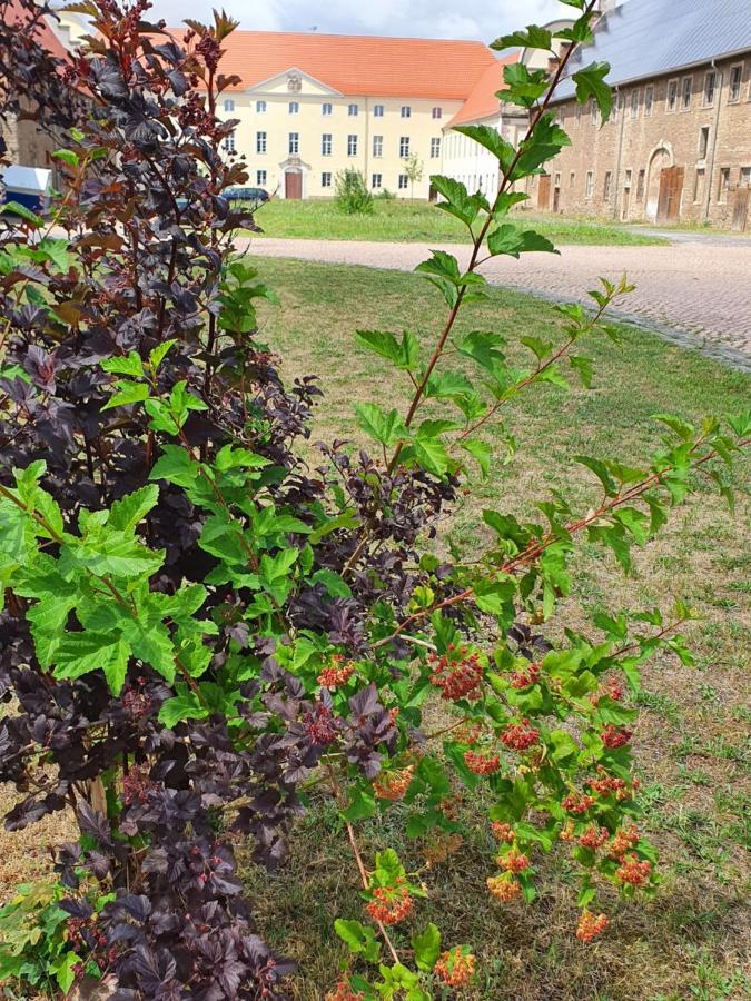 Sonnenschloss Walbeck  Bagian luar foto