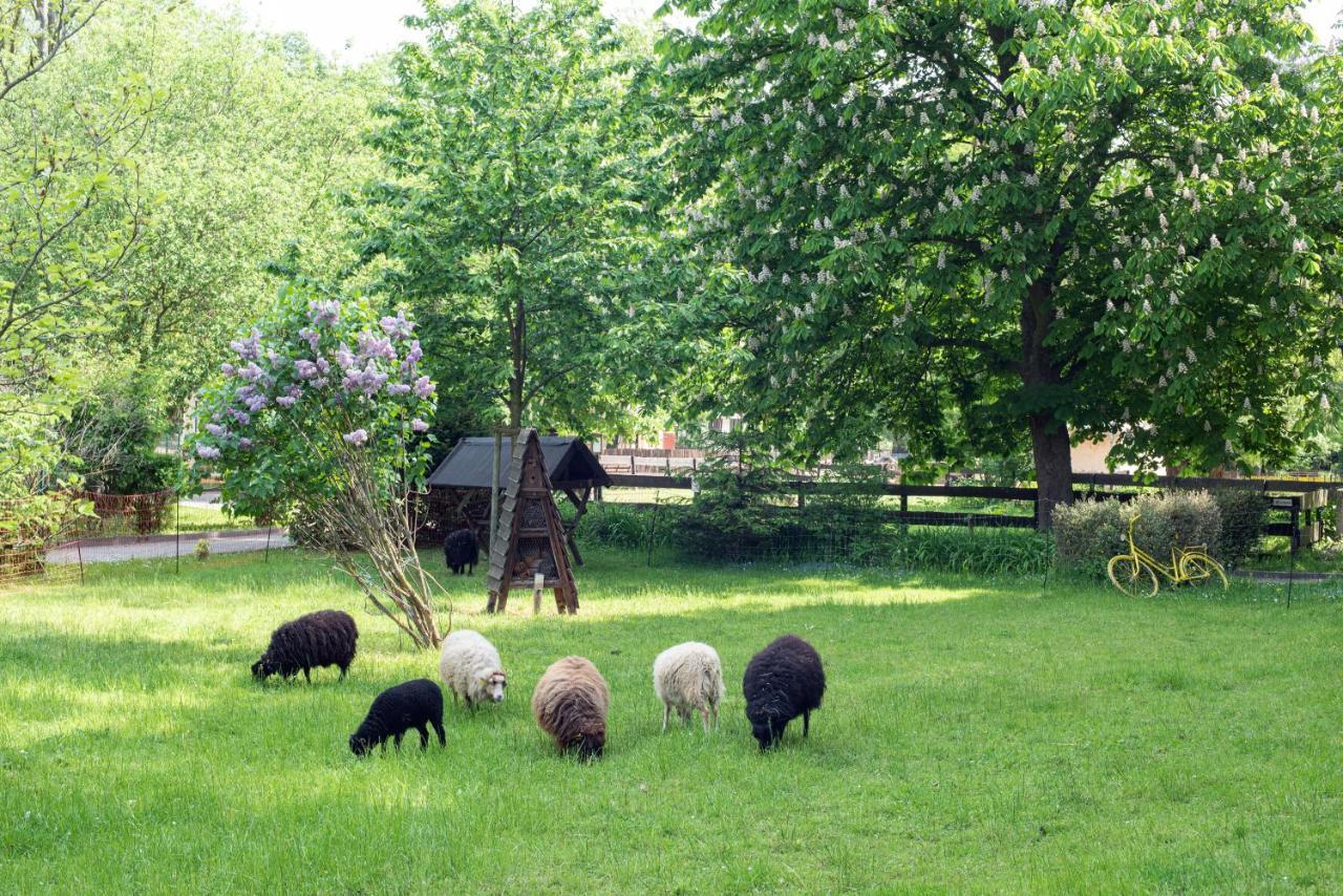 Sonnenschloss Walbeck  Bagian luar foto