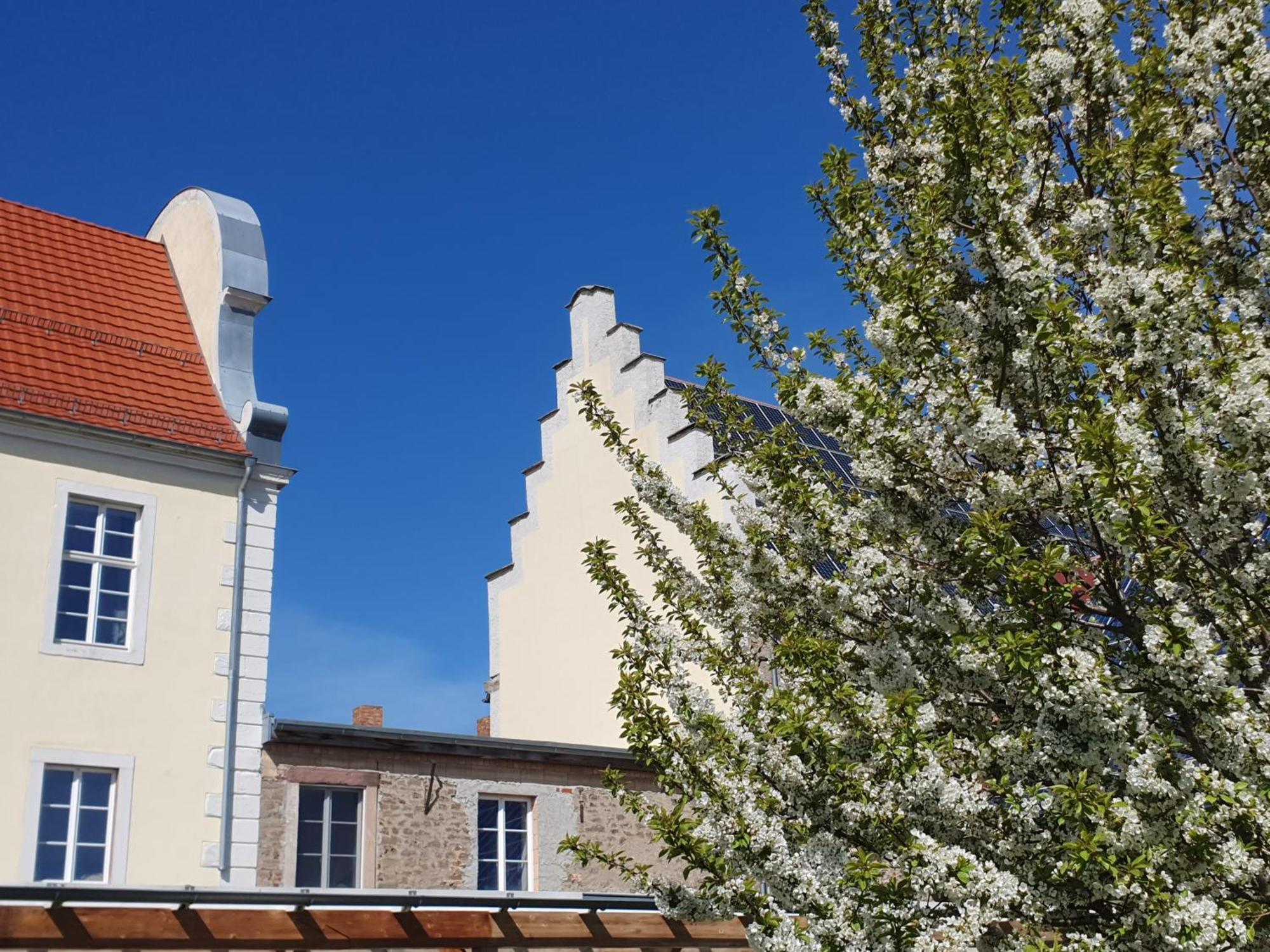 Sonnenschloss Walbeck  Bagian luar foto